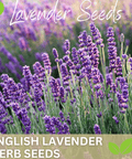Transform Your Garden with Premium Lavender Seeds - Bee-Friendly and Aromatic!