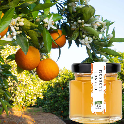 Organic Orange Blossom Honey – 100% Raw & Unfiltered | Happy Bees Market
