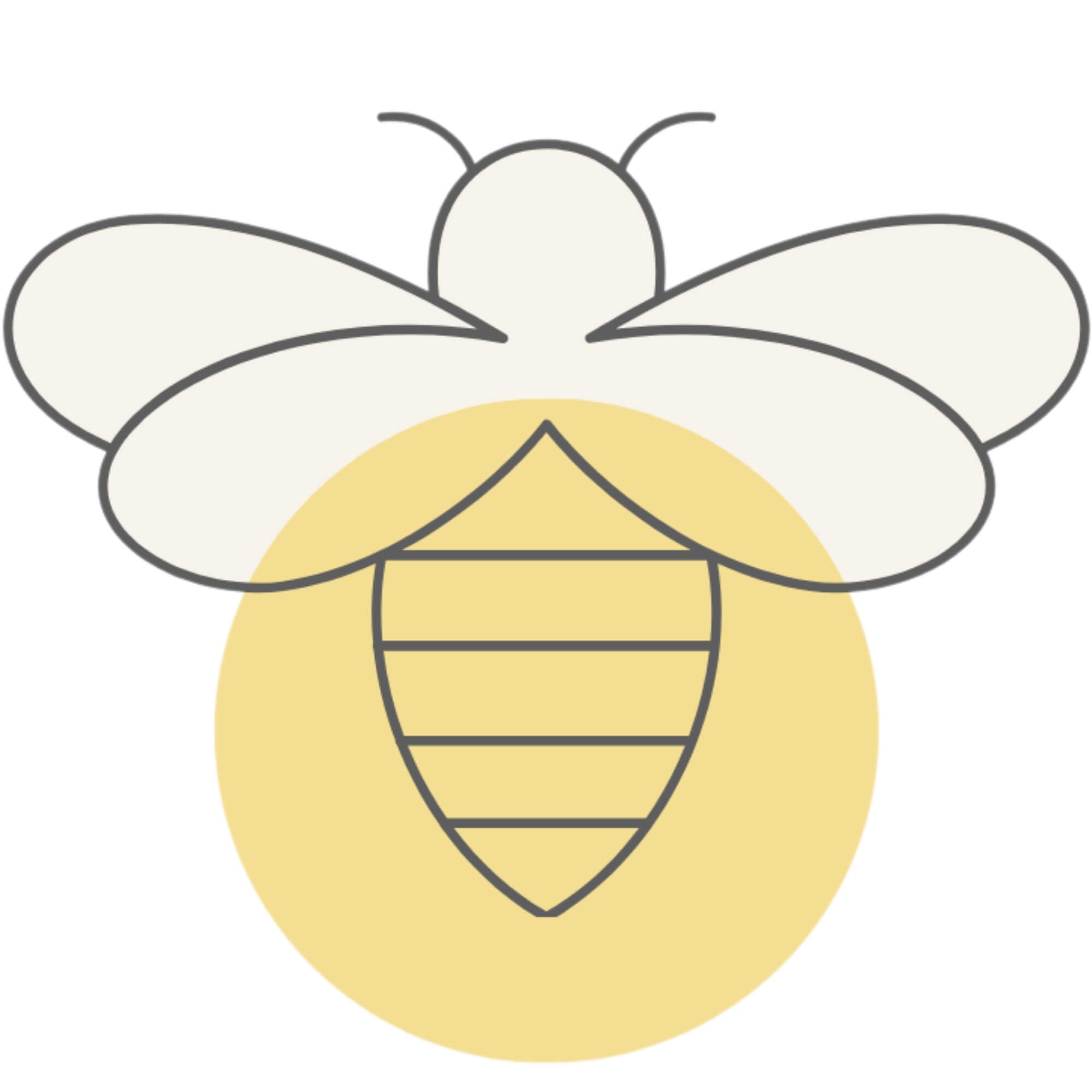 Happy Bees Market