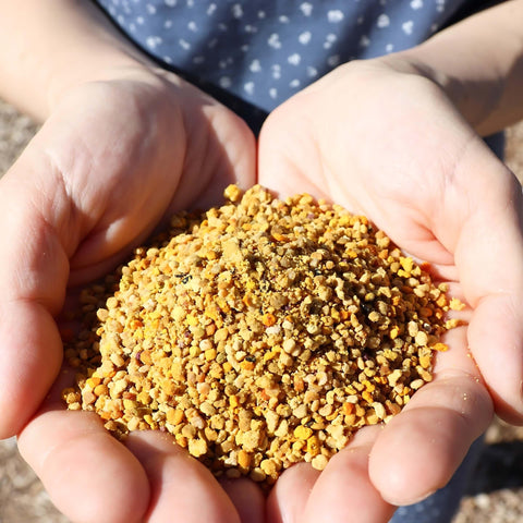 Local Arizona bee pollen – 100% pure and organic, packed in Muth Jar