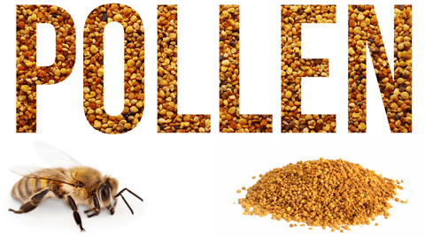 Worthy Benefits of Bee Pollen