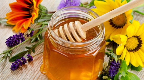 Arizona desert wildflowers blooming – source of raw organic wildflower honey