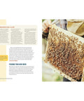 Beginner's Guide to Beekeeping: Learn How to Raise Your First Bee Colonies Successfully