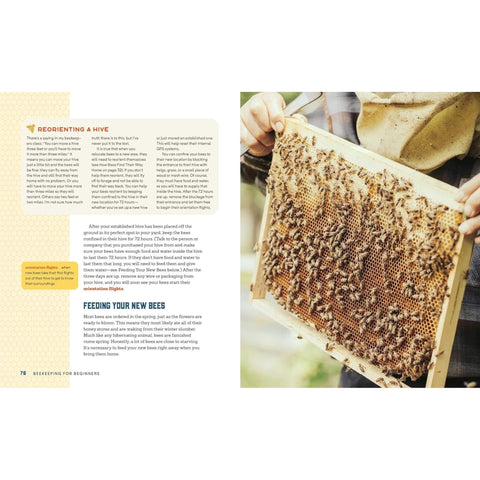 Beginner's Guide to Beekeeping: Learn How to Raise Your First Bee Colonies Successfully