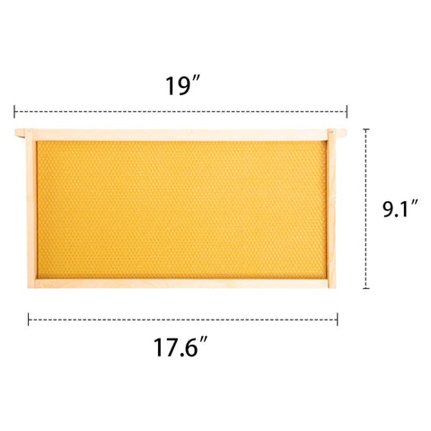 Upgrade Your Beekeeping: 10-Pack Deep Hive Frames Now Available!