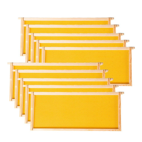 Upgrade Your Beekeeping: 10-Pack Deep Hive Frames Now Available!