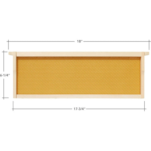 Perfect for medium beehive boxes, these 6-1/4 inch frames ensure efficient honey production. Crafted with durable wood and beeswax-coated Rite-Cell foundations for hassle-free setup and extraction. No assembly required!