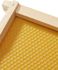 Perfect for medium beehive boxes, these 6-1/4 inch frames ensure efficient honey production. Crafted with durable wood and beeswax-coated Rite-Cell foundations for hassle-free setup and extraction. No assembly required!