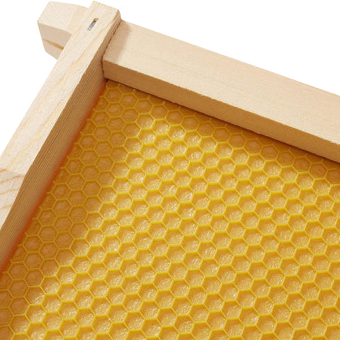 Perfect for medium beehive boxes, these 6-1/4 inch frames ensure efficient honey production. Crafted with durable wood and beeswax-coated Rite-Cell foundations for hassle-free setup and extraction. No assembly required!