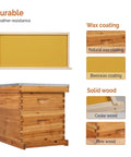 Double-Wax Coated Beehive Starter Kit | Solid Wood Construction | Beekeeping Essentials