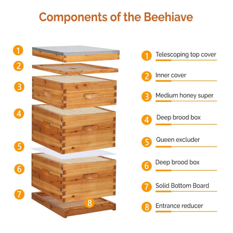 Double-Wax Coated Beehive Starter Kit - Premium Beekeeping Supplies