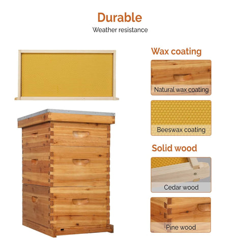 Double-Wax Coated Beehive Starter Kit - Premium Beekeeping Supplies