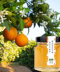Organic Orange Blossom Honey – 100% Raw & Unfiltered | Happy Bees Market