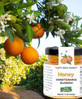 Arizona orange blossom honey – small 1.5 oz sample jar, unfiltered