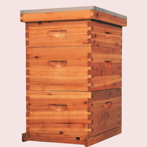 Hives and More